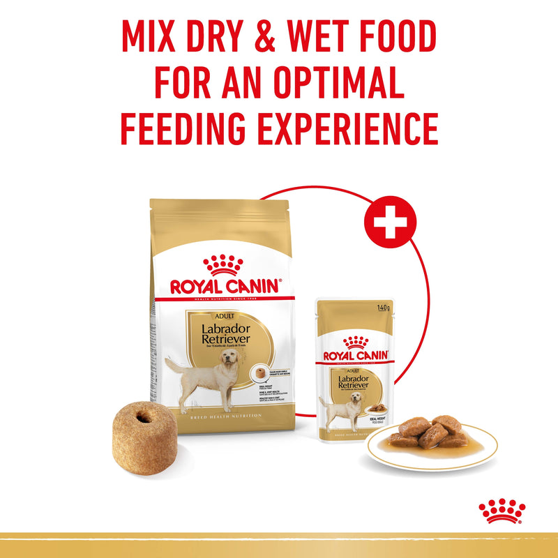 ROYAL CANIN® Labrador Retriever Breed Adult Dry Dog Food 12kg