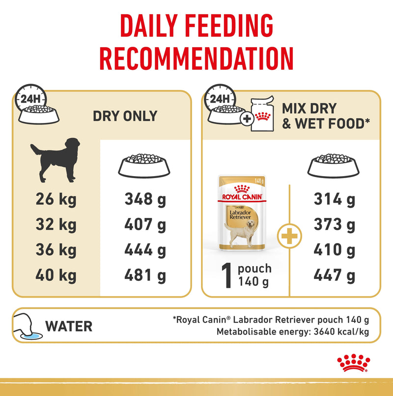 ROYAL CANIN® Labrador Retriever Breed Adult Dry Dog Food 12kg