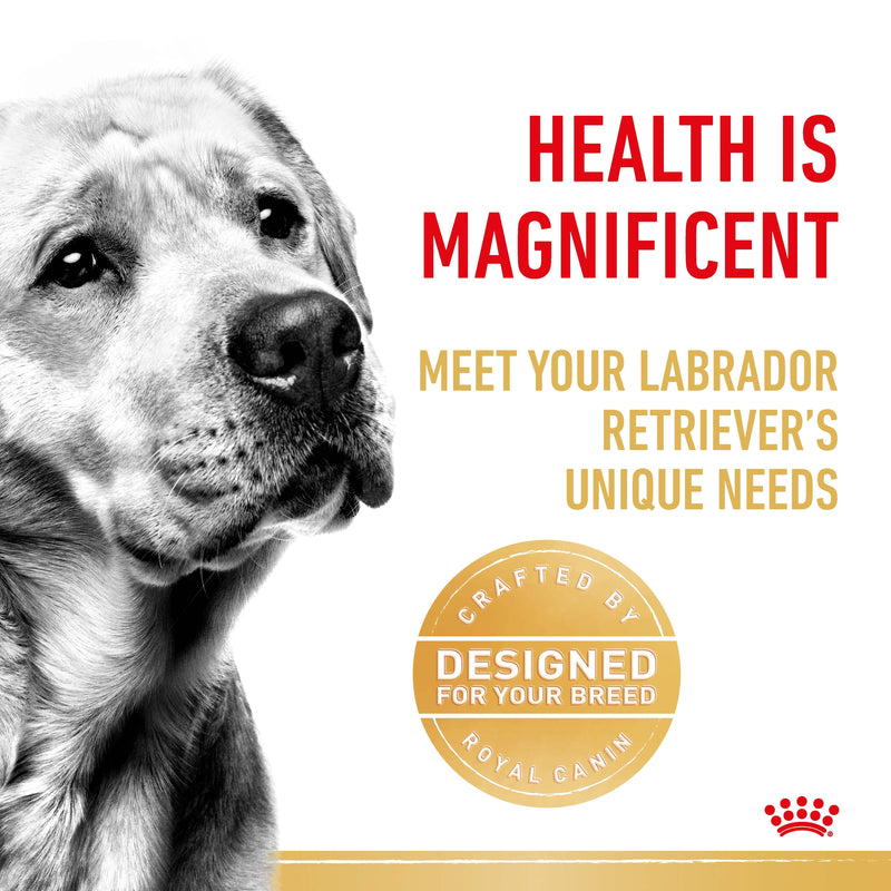 ROYAL CANIN® Labrador Retriever Breed Adult Dry Dog Food 12kg