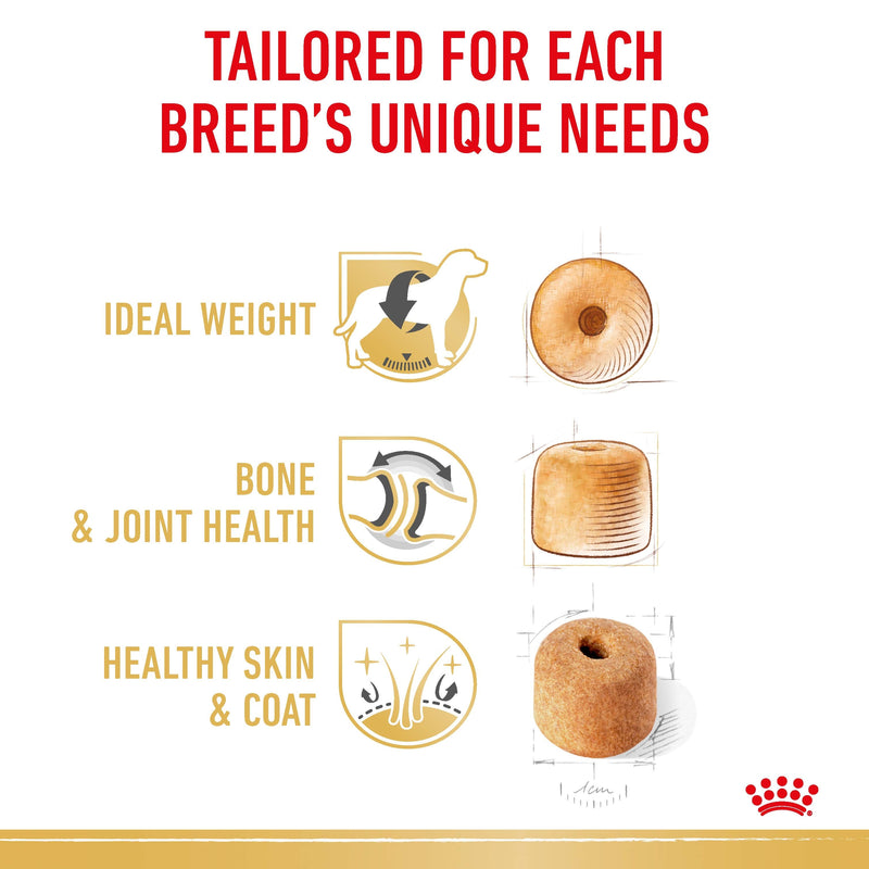 ROYAL CANIN® Labrador Retriever Breed Adult Dry Dog Food 12kg