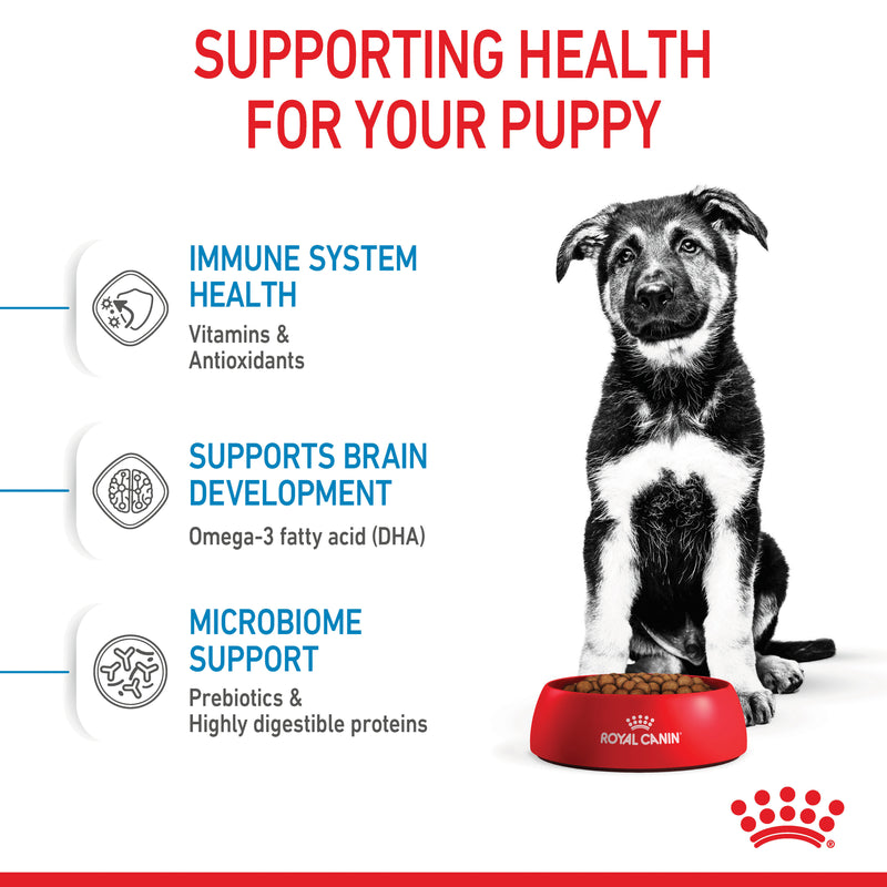 ROYAL CANIN® Maxi Puppy Dry Dog Food