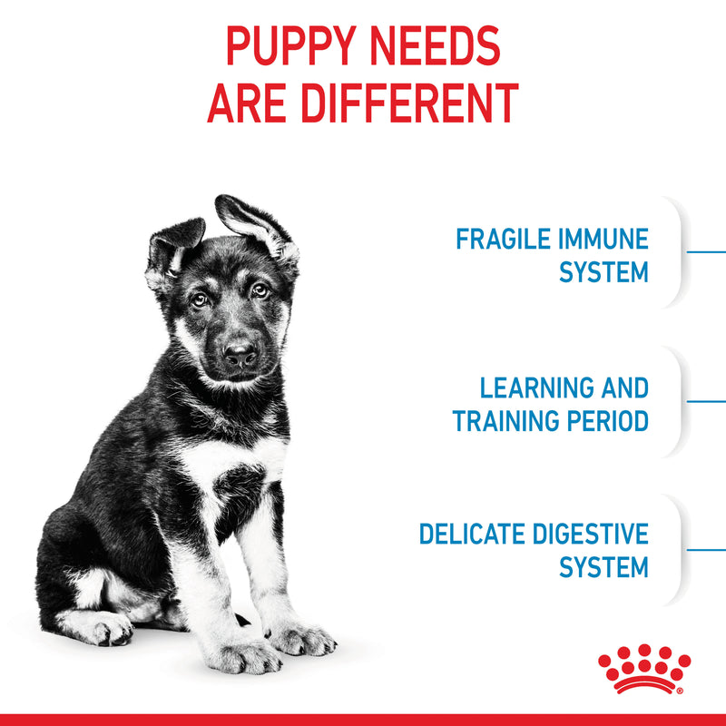 ROYAL CANIN® Maxi Puppy Dry Dog Food
