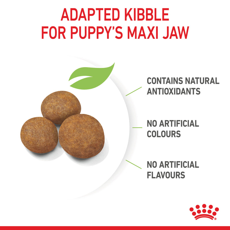 ROYAL CANIN® Maxi Puppy Dry Dog Food
