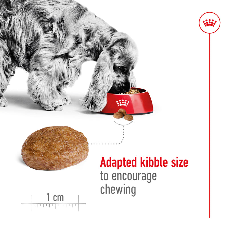 ROYAL CANIN® Medium Adult 7+ Dry Dog Food 15kg