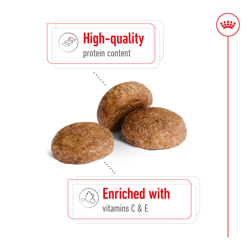 ROYAL CANIN® Medium Adult 7+ Dry Dog Food 15kg