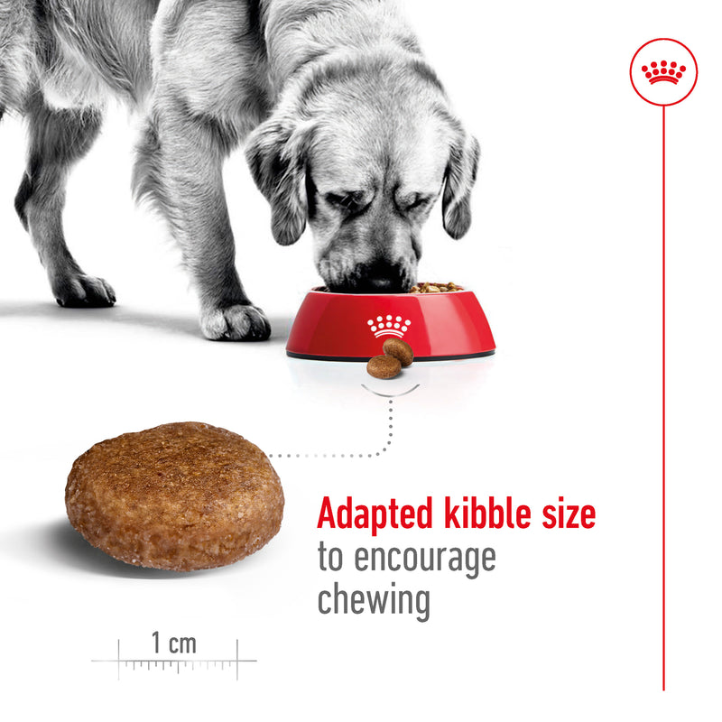 ROYAL CANIN® Maxi Adult 5+ Dry Dog Food 15kg