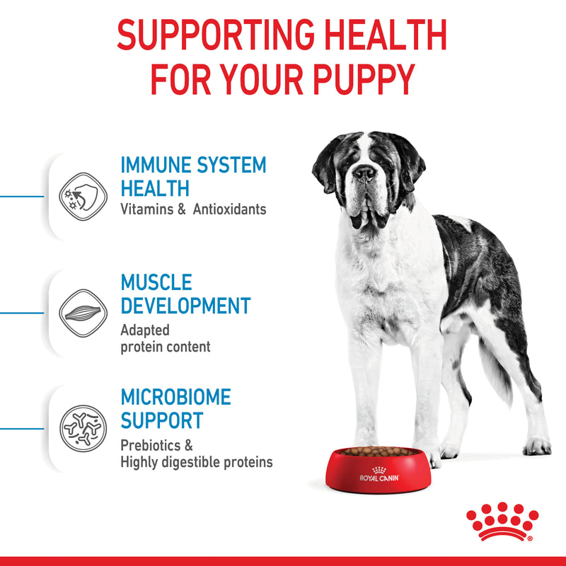 ROYAL CANIN® Giant Junior Dry Dog Food 15kg