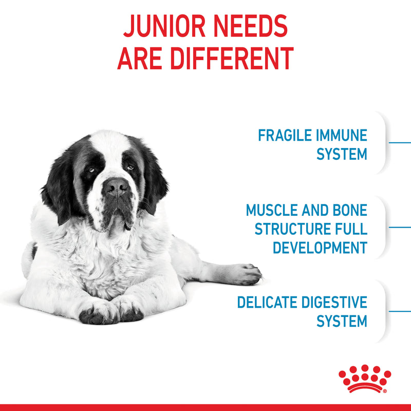 ROYAL CANIN® Giant Junior Dry Dog Food 15kg