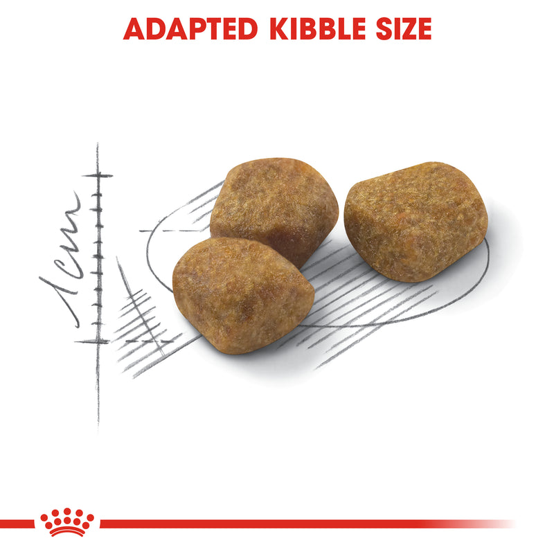 ROYAL CANIN® Fit Adult  Dry Cat Food