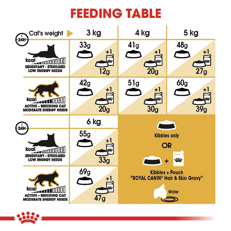 ROYAL CANIN® Siamese Breed Adult Dry Cat Food