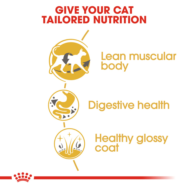 ROYAL CANIN® Siamese Breed Adult Dry Cat Food