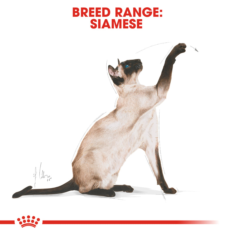 ROYAL CANIN® Siamese Breed Adult Dry Cat Food