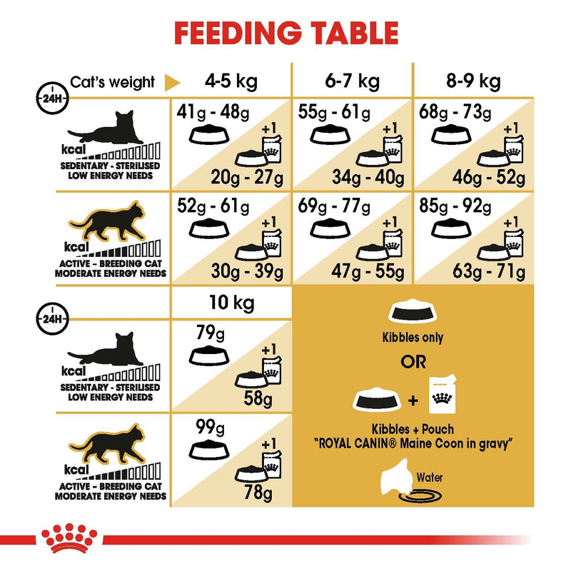 ROYAL CANIN® Maine Coon Breed Adult Dry Cat Food