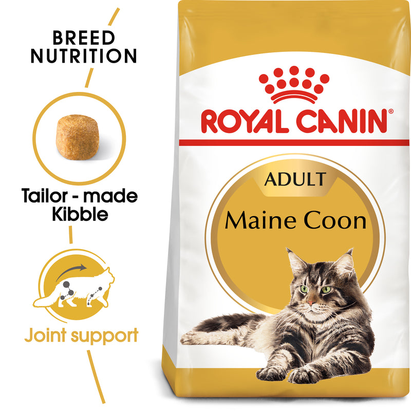 ROYAL CANIN® Maine Coon Breed Adult Dry Cat Food
