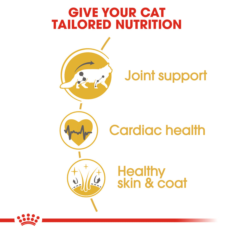 ROYAL CANIN® Maine Coon Breed Adult Dry Cat Food