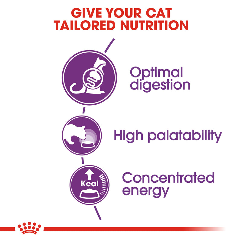 ROYAL CANIN® Sensible Adult Cat Dry Food