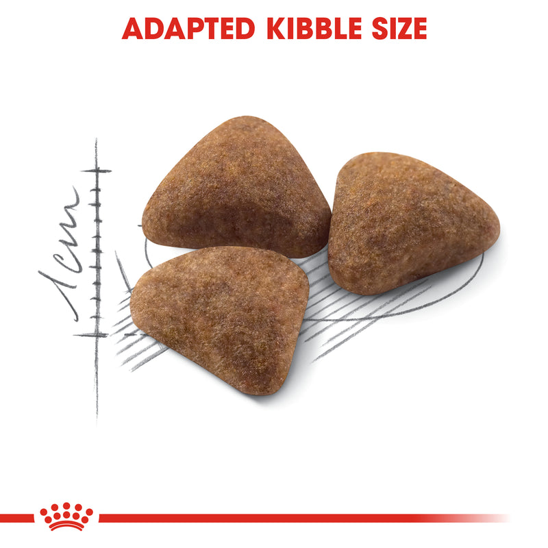 ROYAL CANIN® Indoor Adult Cat Dry Food 2kg