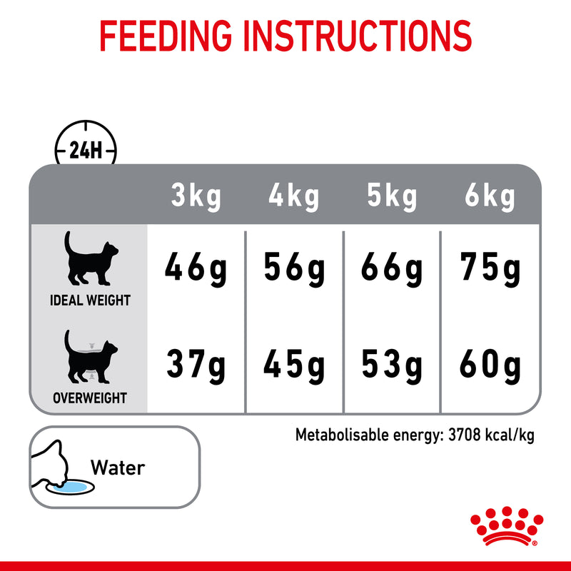 ROYAL CANIN® Dental Care Adult Dry Cat Food