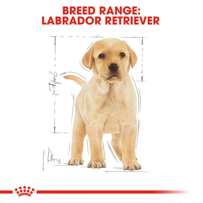 ROYAL CANIN® Labrador Retriever Breed Puppy Dry Dog Food 12kg