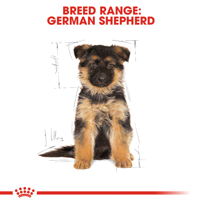 ROYAL CANIN® German Shepherd Breed Puppy Dry Dog Food 12kg