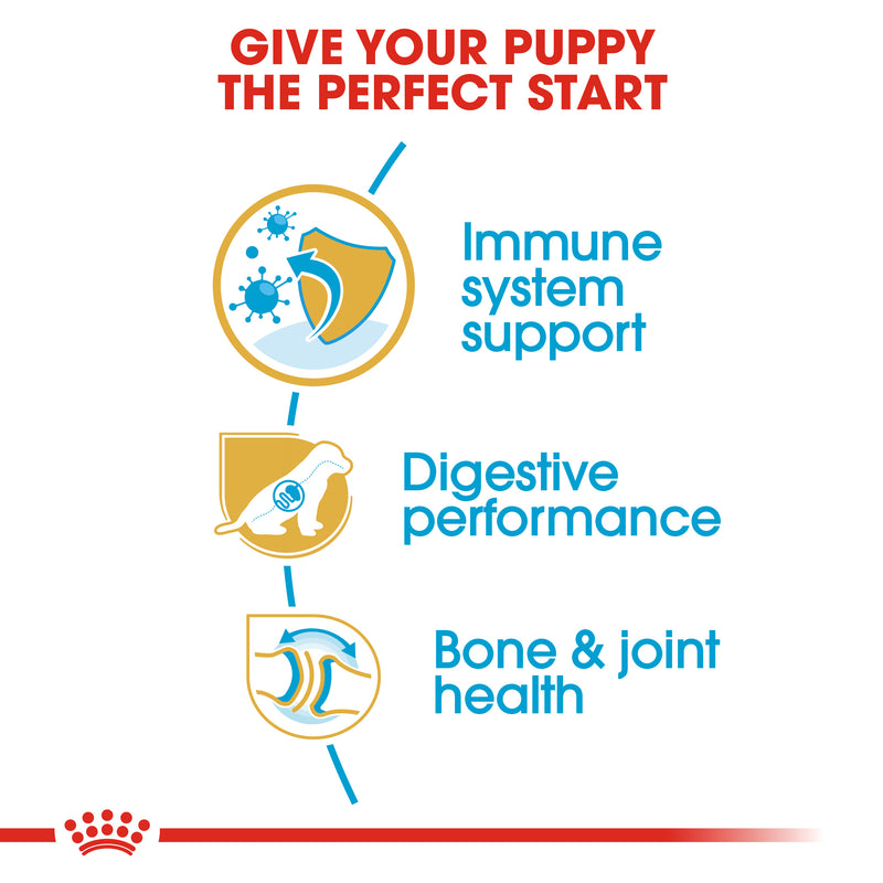 ROYAL CANIN® German Shepherd Breed Puppy Dry Dog Food 12kg