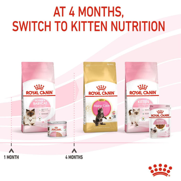 ROYAL CANIN® Mother & Babycat Wet Cat Food Cans 12 x 195g