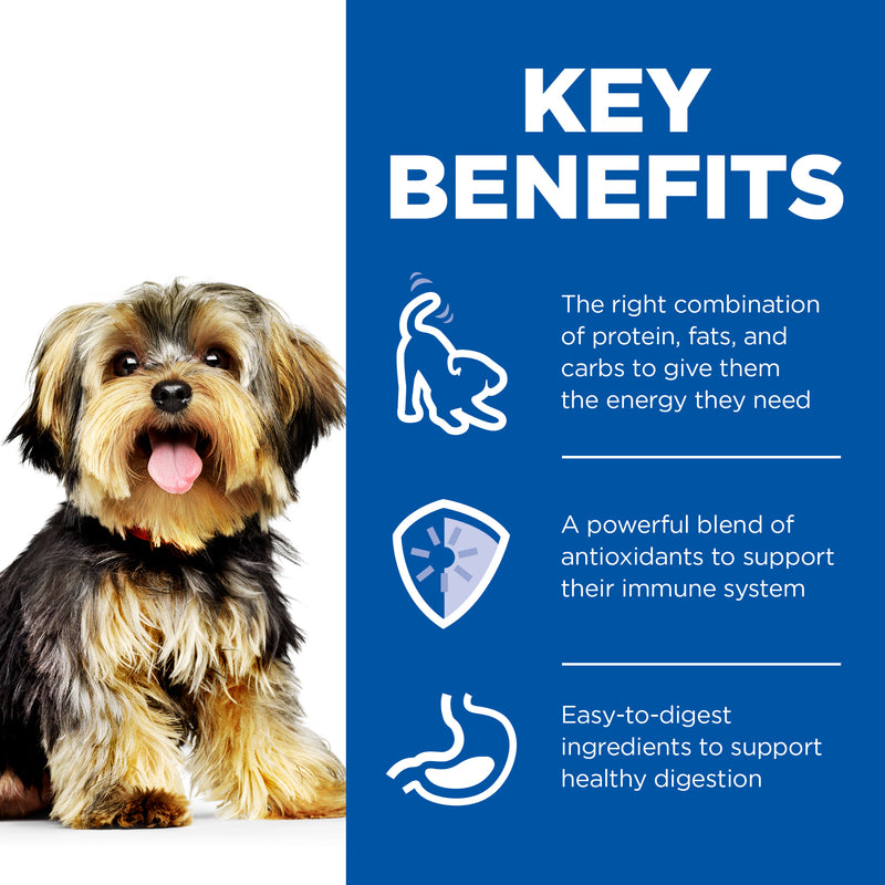 Hill's Science Diet Adult Small & Mini with Chicken Canned Wet Dog Food 12x200g