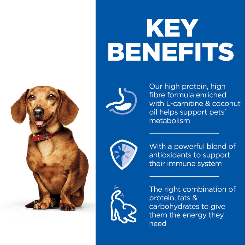 Hill's Science Diet Perfect Weight Small & Mini with Turkey Canned Dog Food 12x200g