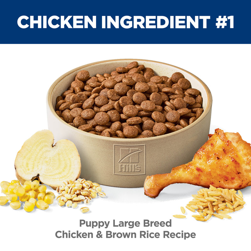 Hill's Science Diet Puppy Large Breed Chicken & Brown Rice Recipe Dry Dog Food