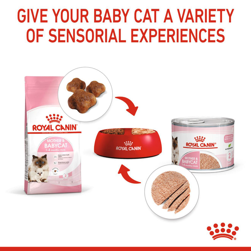 ROYAL CANIN® Mother and Babycat Wet Cat Food Cans - 12 x 195g