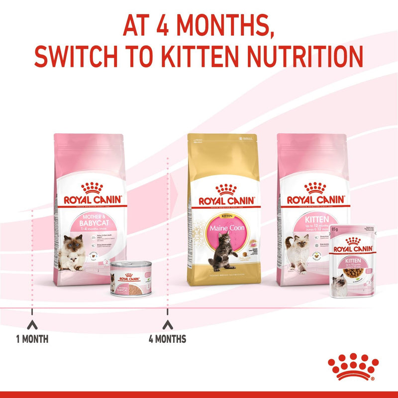 ROYAL CANIN® Mother and Babycat Wet Cat Food Cans - 12 x 195g