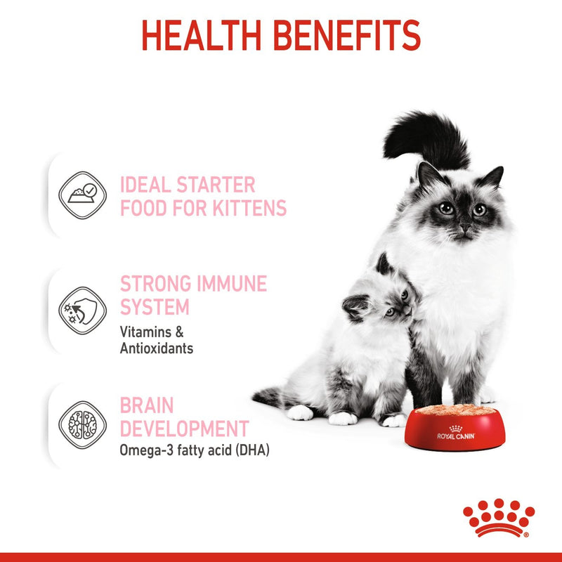 ROYAL CANIN® Mother and Babycat Wet Cat Food Cans - 12 x 195g