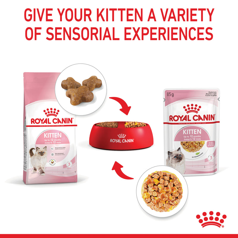 ROYAL CANIN® Kitten Jelly Wet Cat Food Pouches 12x85g