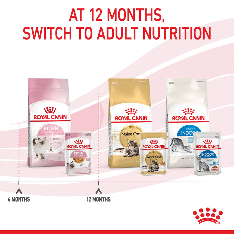 ROYAL CANIN® Kitten Jelly Wet Cat Food Pouches 12x85g
