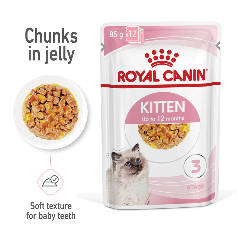ROYAL CANIN® Kitten Jelly Wet Cat Food Pouches 12x85g
