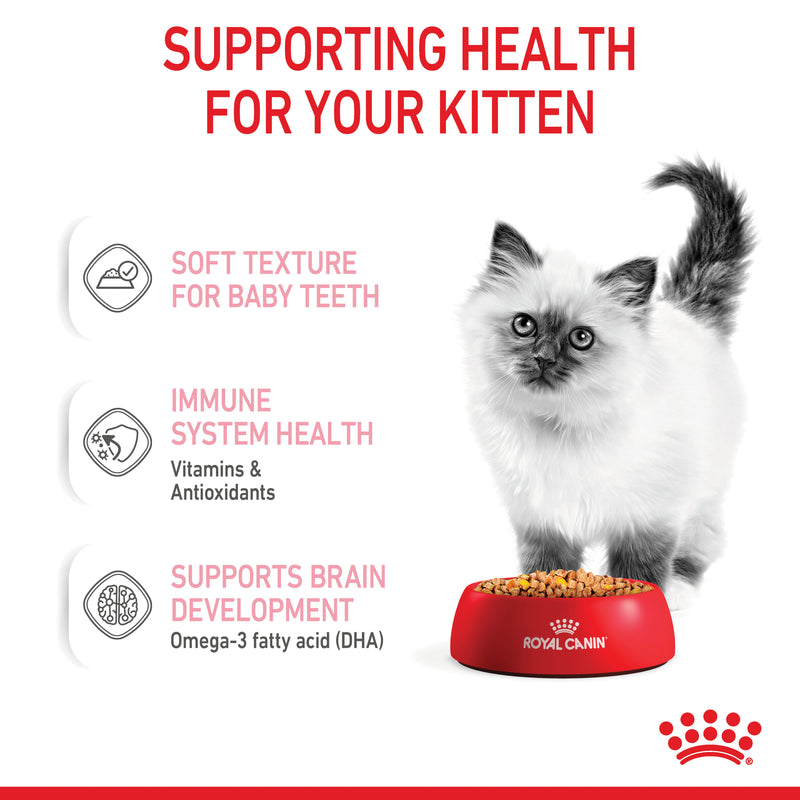ROYAL CANIN® Kitten Jelly Wet Cat Food Pouches 12x85g