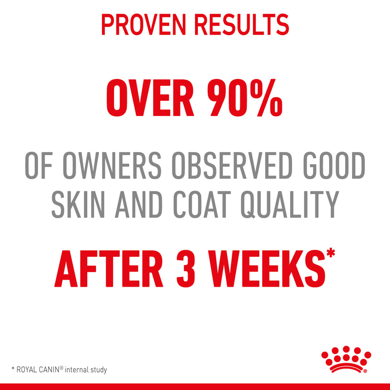 ROYAL CANIN® Hair & Skin Care Jelly Adult Wet Cat Food Pouches 12x85g