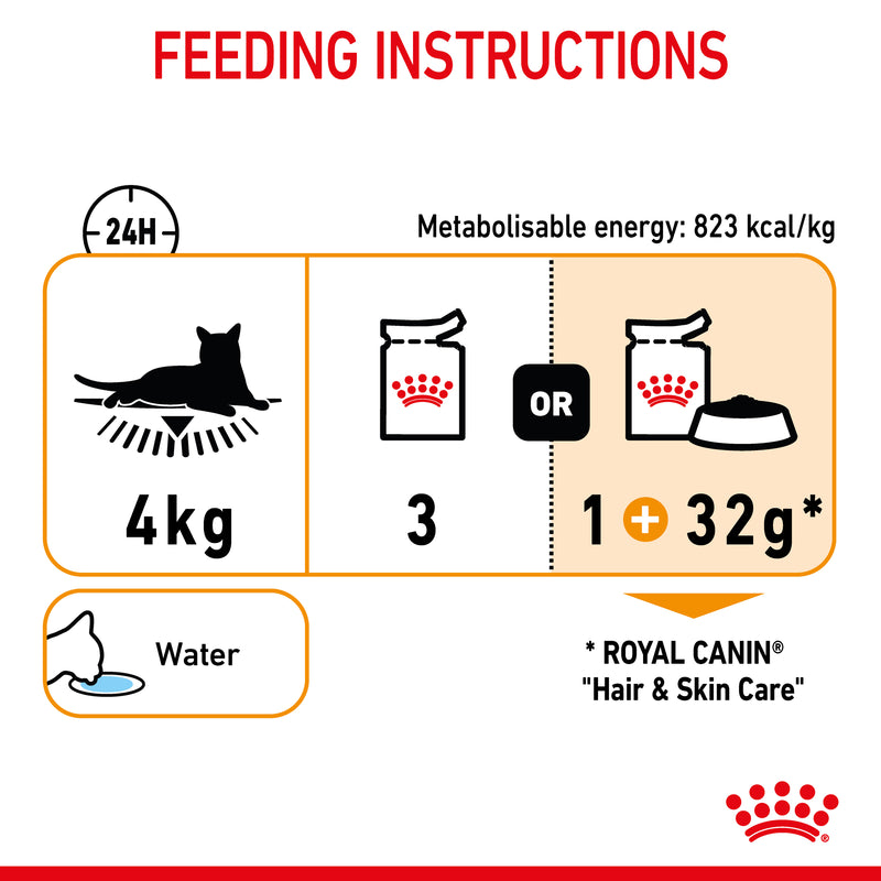 ROYAL CANIN® Hair & Skin Care Jelly Adult Wet Cat Food Pouches 12x85g