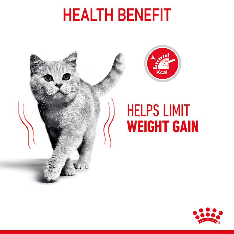 ROYAL CANIN® Light Weight Care Jelly Adult Wet Cat Food Pouches 12x85g
