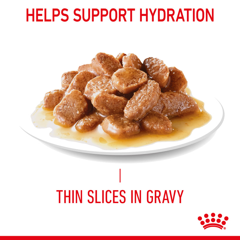 ROYAL CANIN® Hairball Care Gravy Adult Wet Cat Food Pouches 12x85g