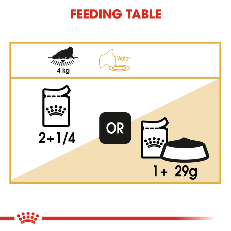 ROYAL CANIN® Persian Breed Adult Wet Cat Food Pouches 12x85g