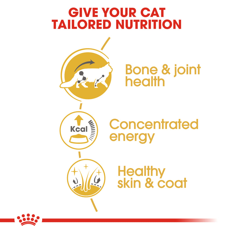 ROYAL CANIN® Maine Coon Breed Adult Wet Cat Food Pouches 12x85g