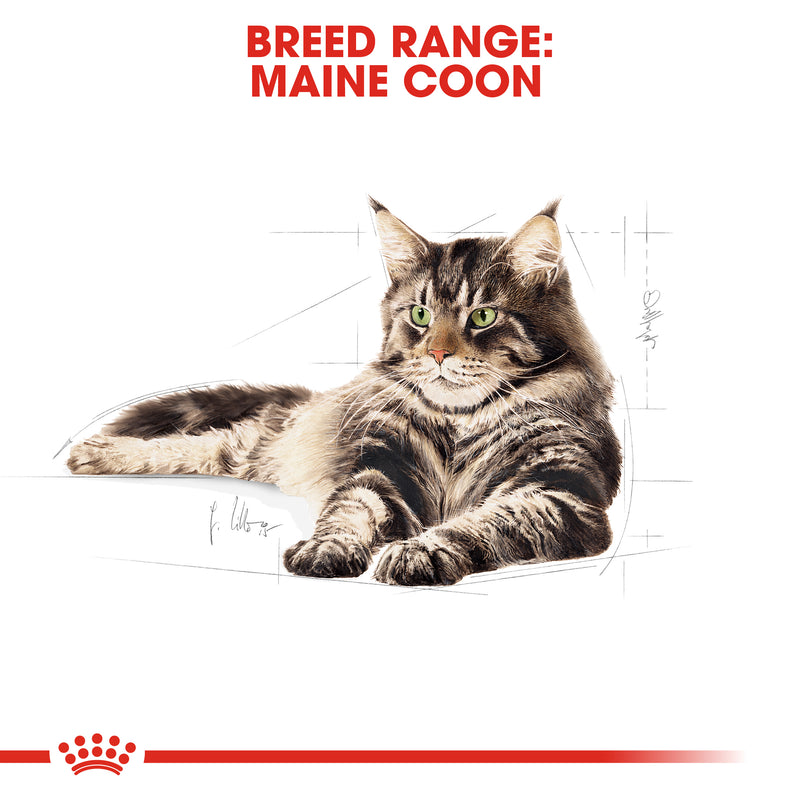 ROYAL CANIN® Maine Coon Breed Adult Wet Cat Food Pouches 12x85g