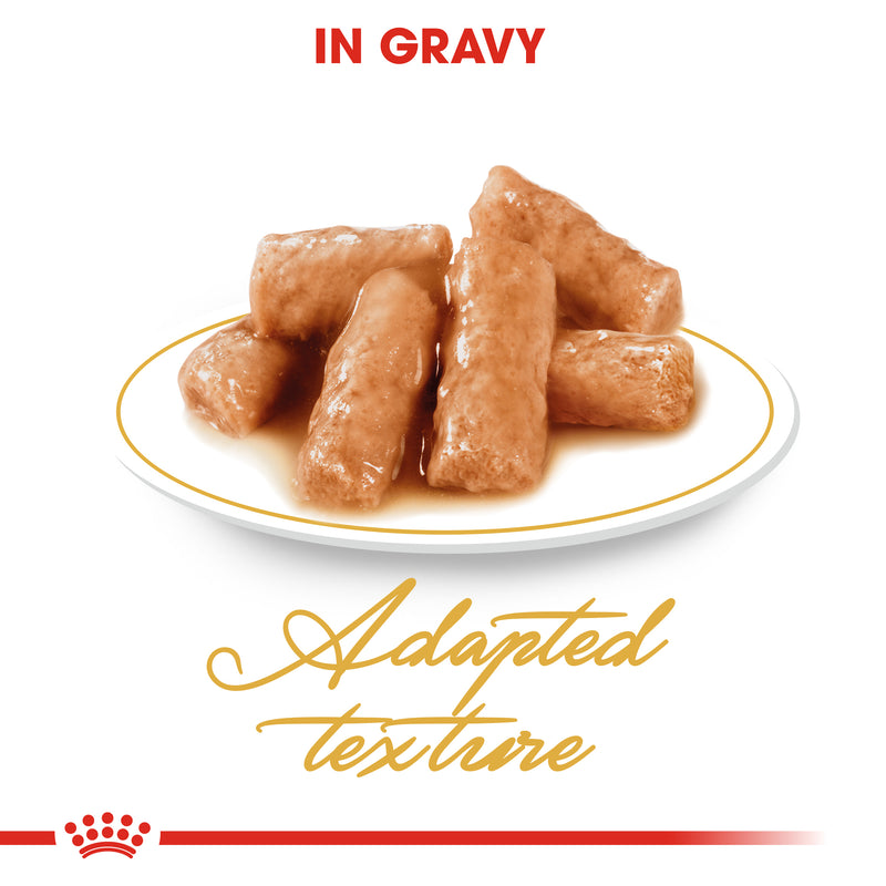 ROYAL CANIN® British Shorthair Breed Adult Wet Cat Food Pouches 12x85g