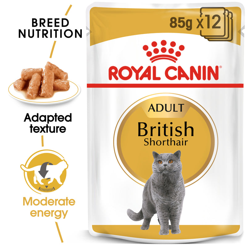 ROYAL CANIN® British Shorthair Breed Adult Wet Cat Food Pouches 12x85g