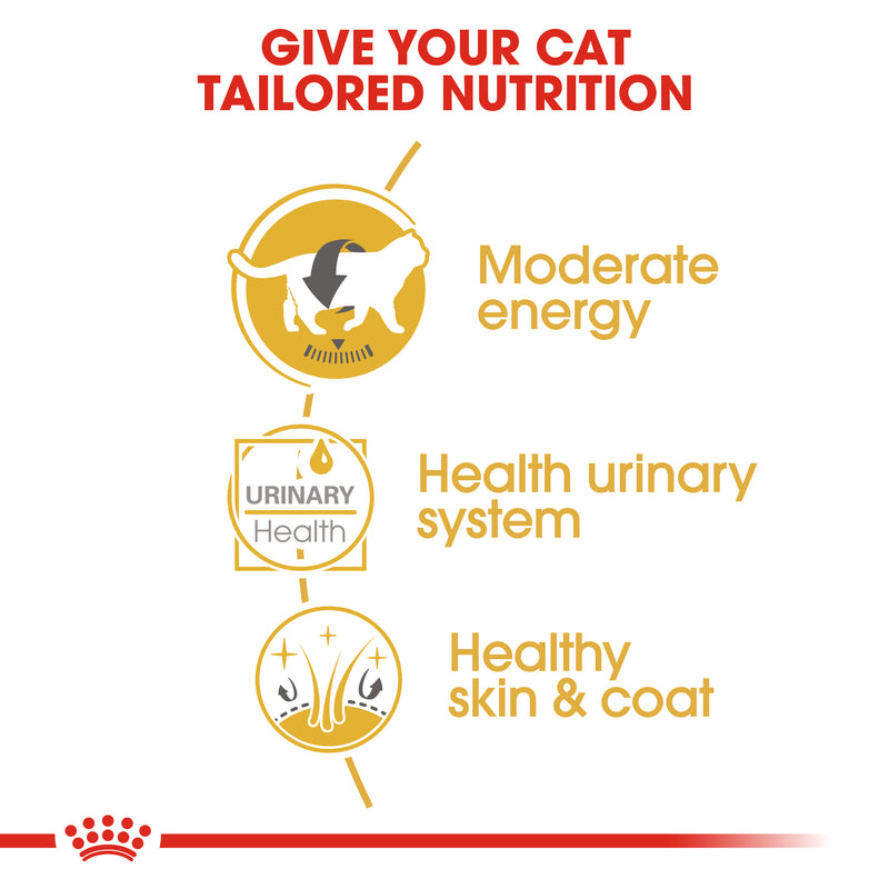 ROYAL CANIN® British Shorthair Breed Adult Wet Cat Food Pouches 12x85g