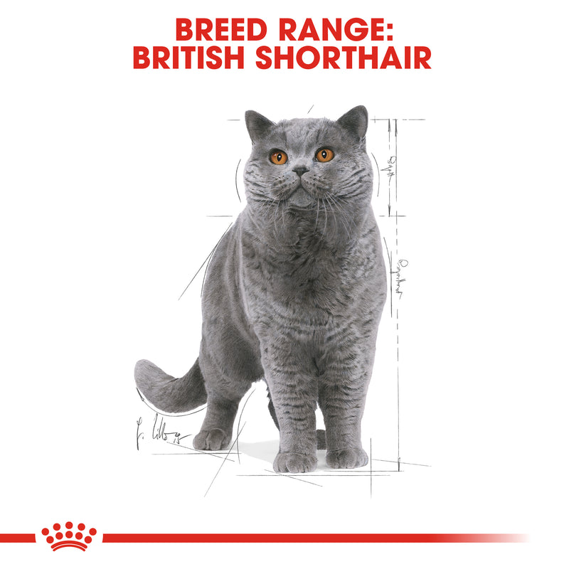 ROYAL CANIN® British Shorthair Breed Adult Wet Cat Food Pouches 12x85g