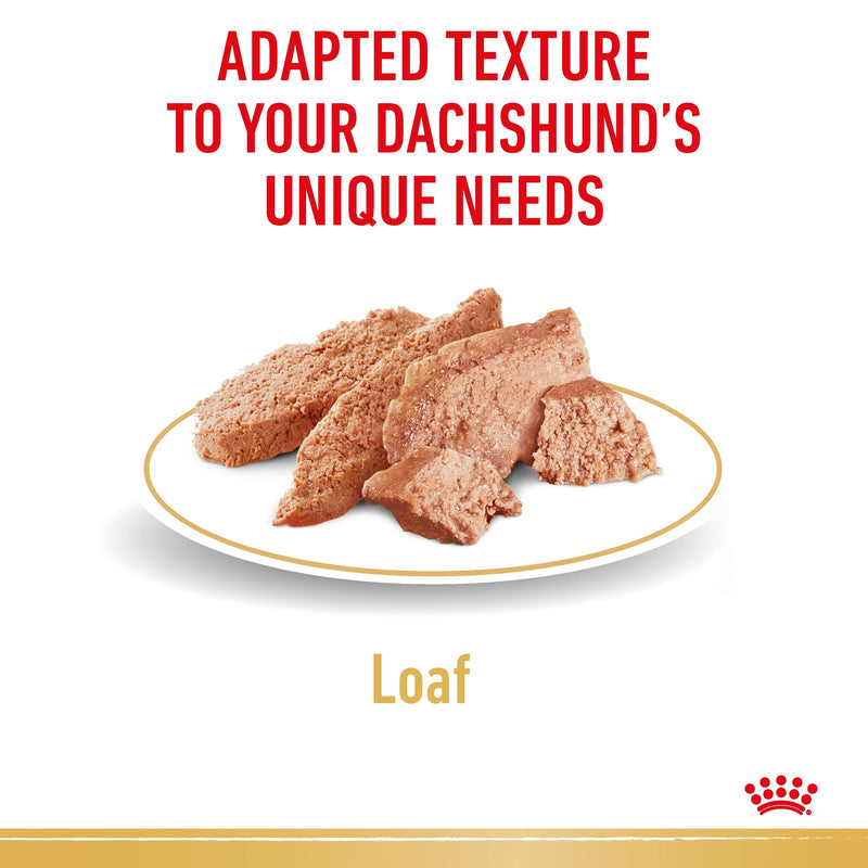 ROYAL CANIN® Dachshund Breed Adult Wet Dog Food Pouches 12x85g