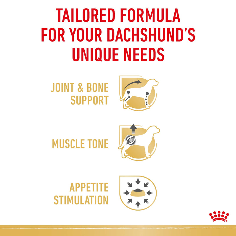 ROYAL CANIN® Dachshund Breed Adult Wet Dog Food Pouches 12x85g