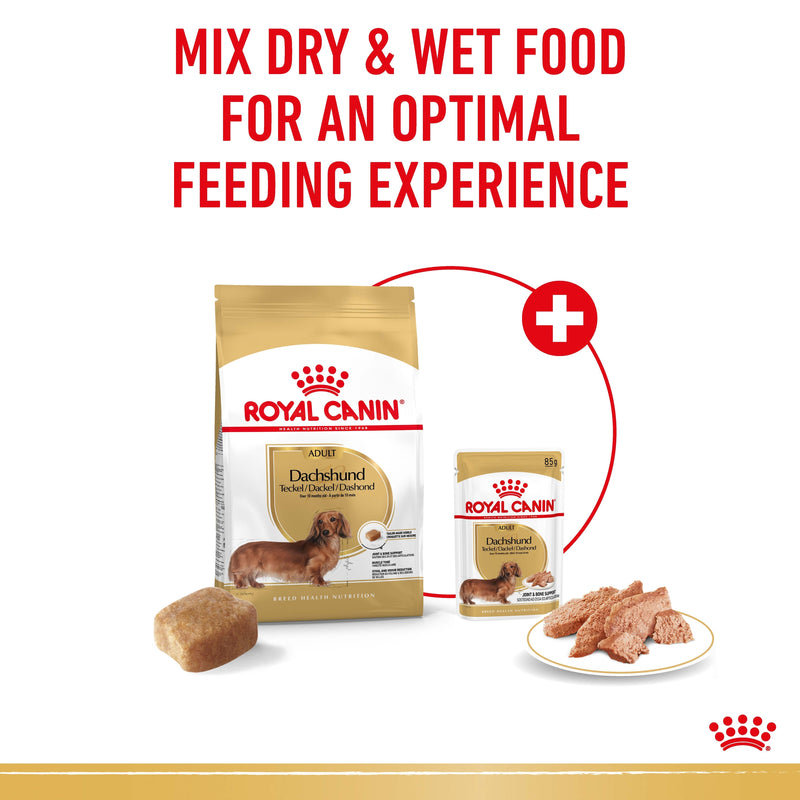 ROYAL CANIN® Dachshund Breed Adult Wet Dog Food Pouches 12x85g
